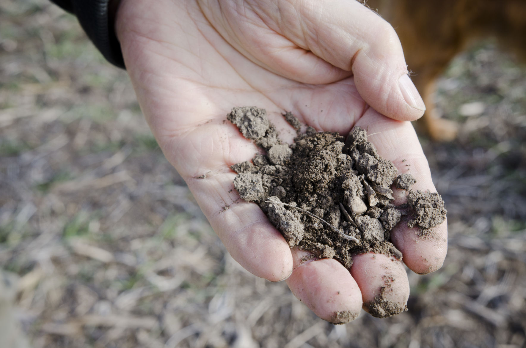 Soil aggregation